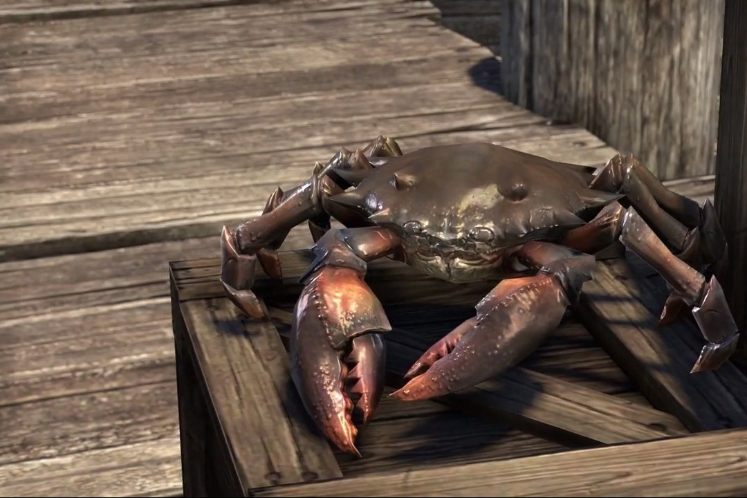 Mudcrab Pet