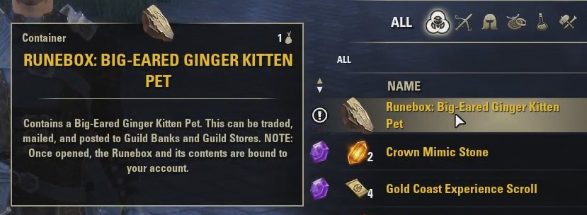 Big-Eared Ginger Kitten Runestone